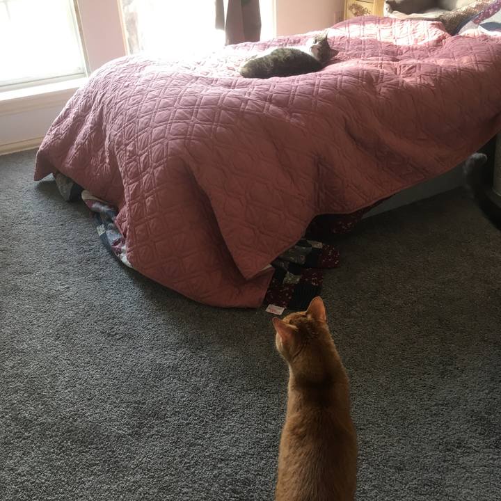 B56ab5bb f4c4 44b1 9e13 031836c0fd1f 1650836555599