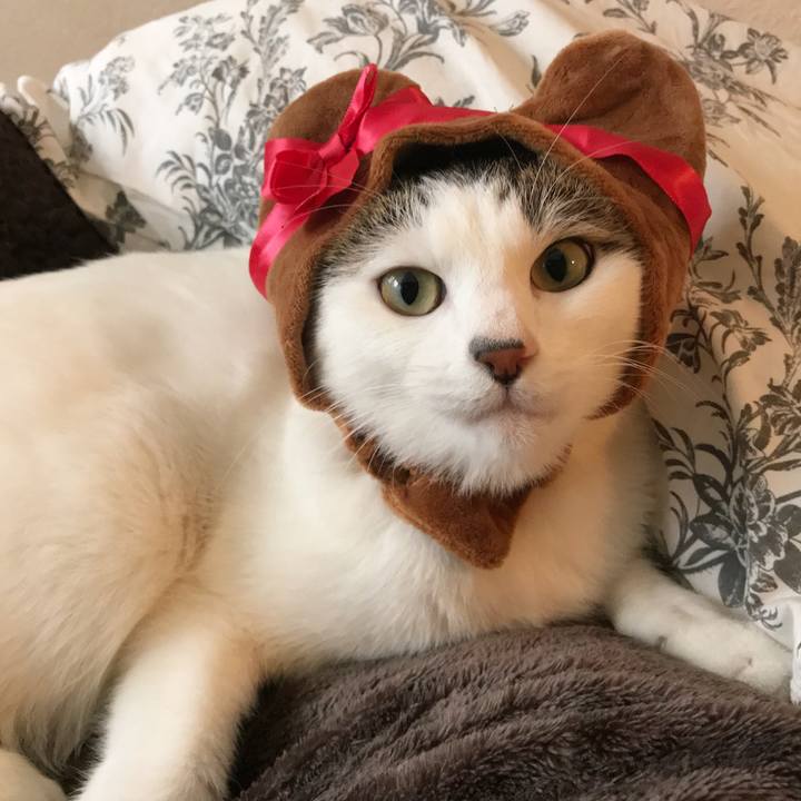 B56acd92 1f0a 46a0 abc2 b783f16c9349 1518328905681