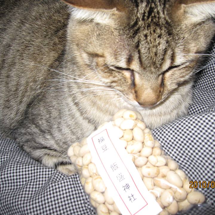 B56b02d3 d454 46ff 8af5 91b9105b72b9 1593310087198