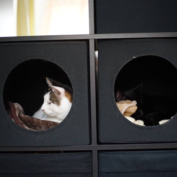 B56b043b 59b3 4c85 b957 2db55a1a0562 1525321567795