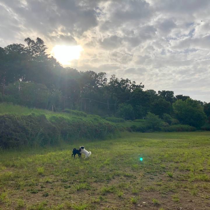 B56b0a20 9d9f 45ea bdf9 ac3226678c14 1558303901369