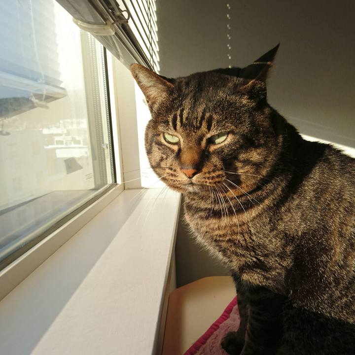 B56b98f9 23e7 42da 8aad 3d9326b8c0ae 1514678006890