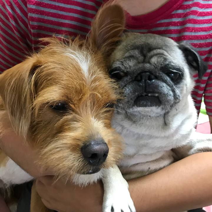 B56ba9ee bd8a 491f a603 87b2371d75cc 1536968153549