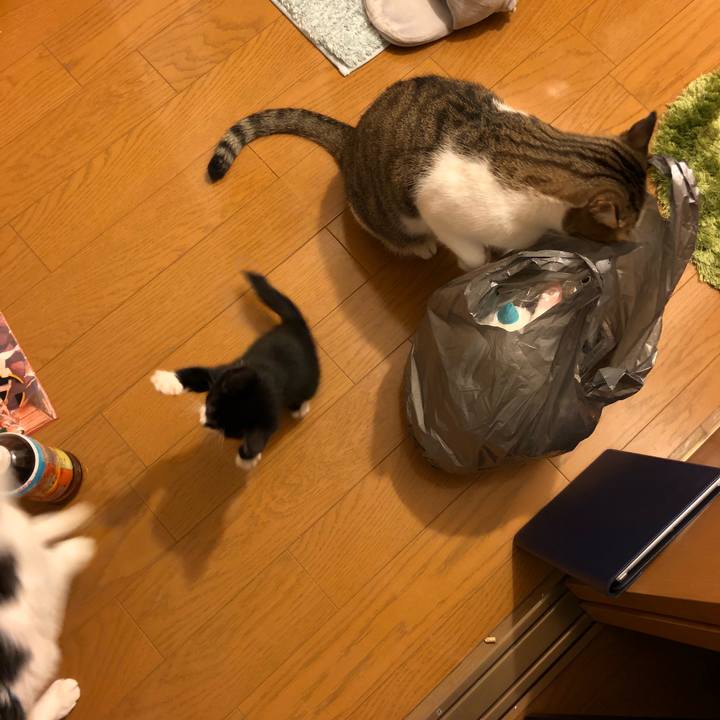 B56be046 732c 47e2 86f4 cc89c825ffa8 1538056762658