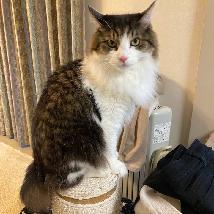 B56bf380 2406 485c b6d8 0d7e02fc1400 1669158513811