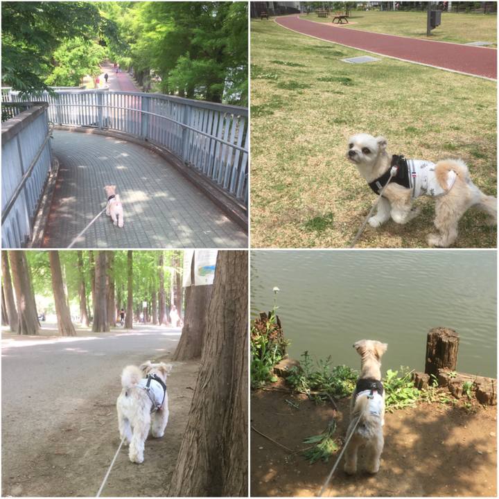 B56c1d62 7f4e 45f5 b8a2 caf5829a4137 1557639882101