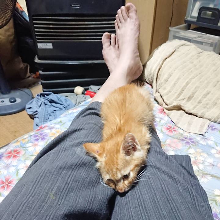 B56c224b 0955 410d ad03 2aa0206f6406 1627821535024