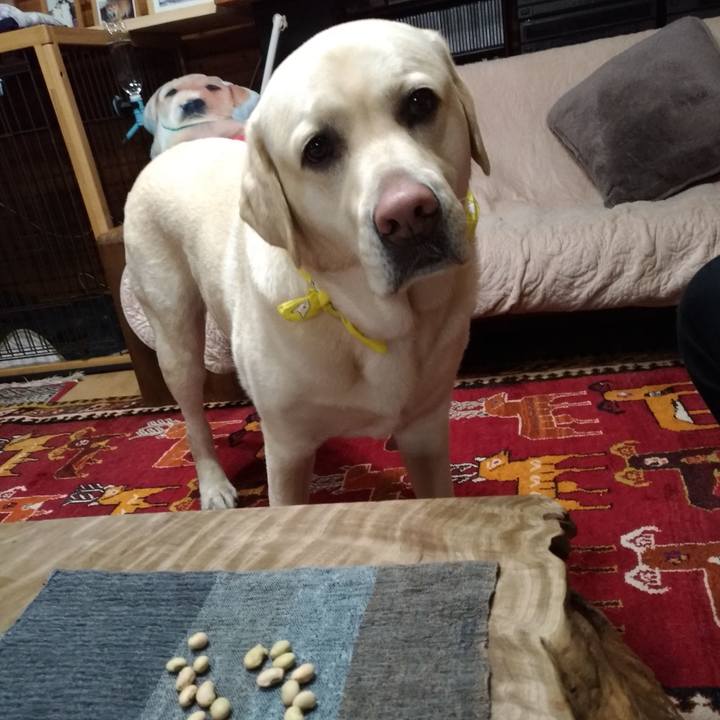 B56c40fc 9b0d 4751 8667 8838d8ba5cf2 1580733443658