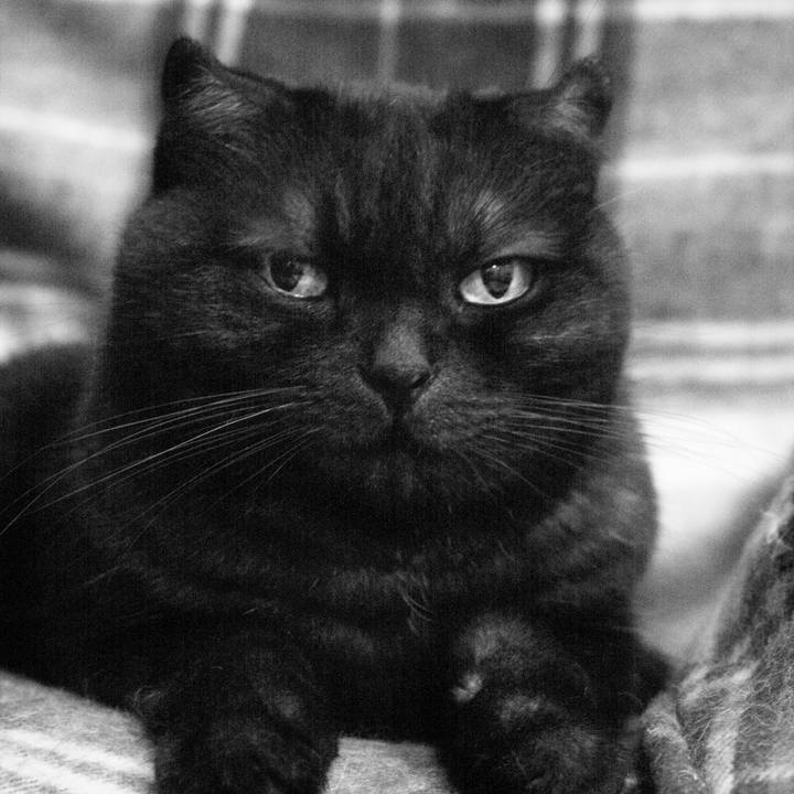 B56c5c3b 3070 47a6 88ad 690138847b4c 1539276370042