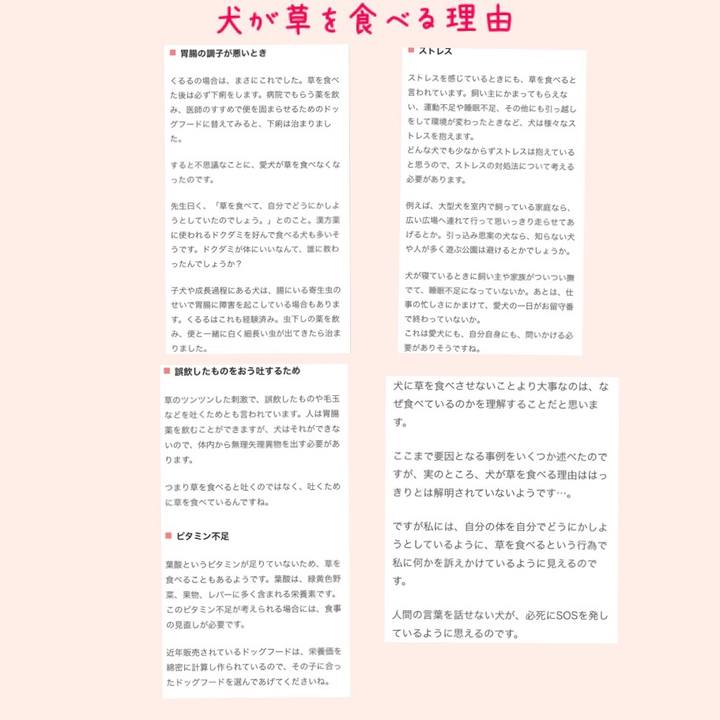 B56c67b7 0cda 4819 b9eb 5ee084c547c8 1523955297916