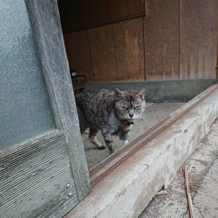 B56c8651 6733 4cae 9849 bb59af61e1d7 1595581384202