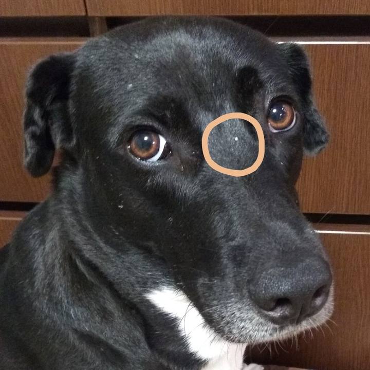 B56cdcf4 3994 4004 8d14 1d0de20f2f45 1594822010676