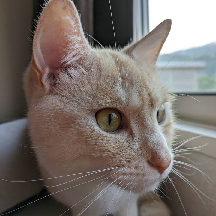 B56ce9bd 4959 492a 86fe 821bfae1c4ca 1686286431574