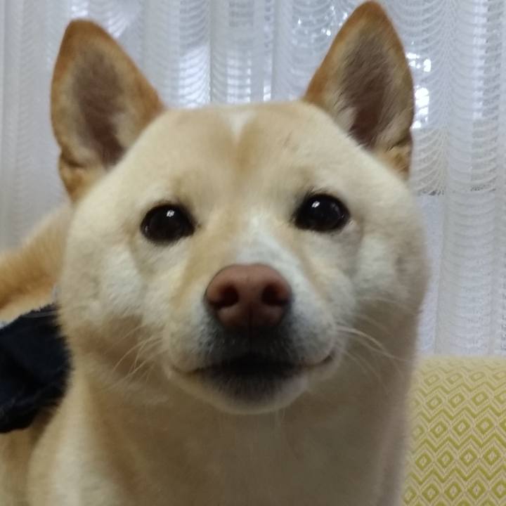 B56d025c 8fab 4e0c 8613 11b6f18cef64 1551660274124