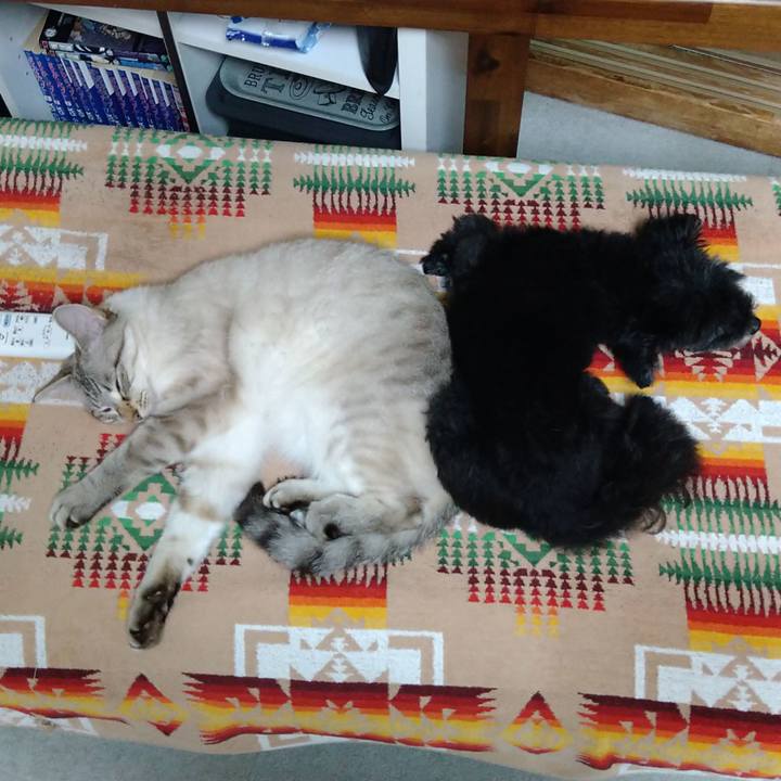 B56d0822 275d 4f0b 8df1 d5b1d8496c02 1626111594498