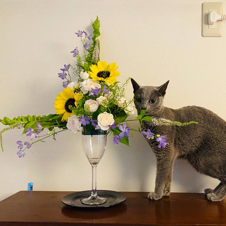 B56d152b a31e 4fbb b9c9 0239373e72f9 1593298804675