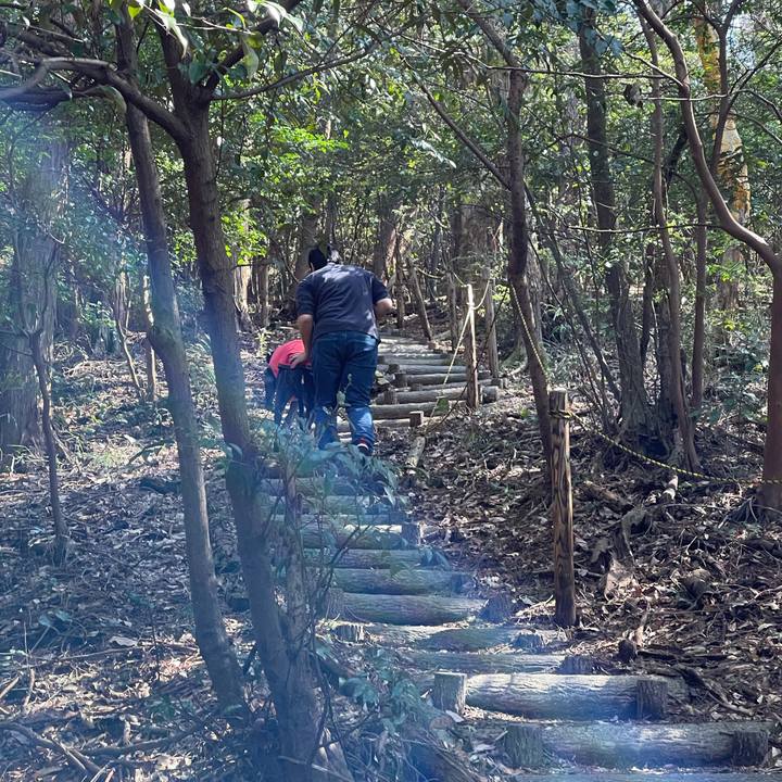 B56da41a 2d34 4a5a 8d5d 1aa3fdd69199 1615698947293