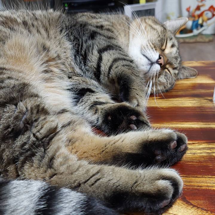 B56daff1 53a5 46fb 8966 8bc748c51af0 1660821580871