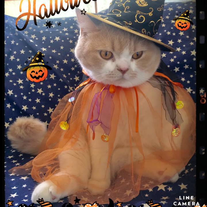 B56dbda7 4083 4971 a78b 1be415a917a1 1604027324841