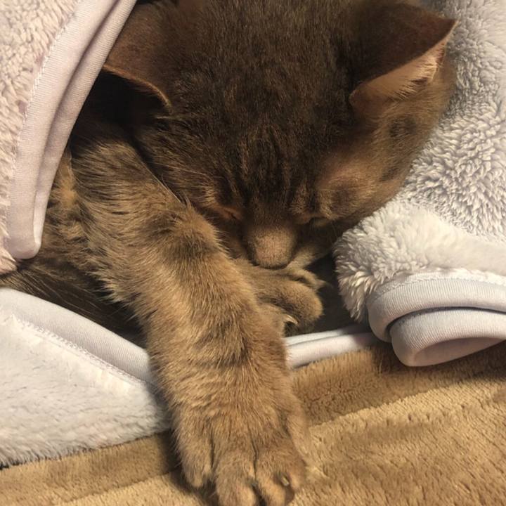 B56de8b9 1e24 468e bd71 d0d8e8f27d65 1556366981622