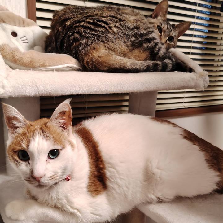 B56e77b1 f09d 4149 9429 66b96b3f951b 1764346338391