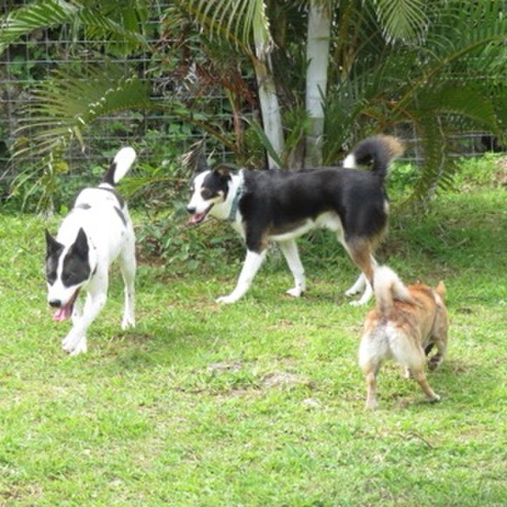 B56e9502 0a7a 44d4 9a93 43d449f74799 1619601564566