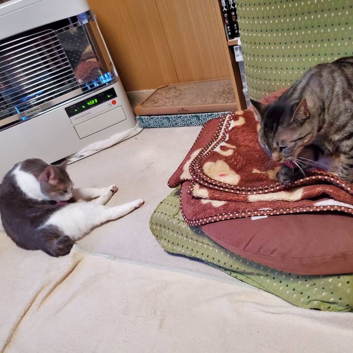 B56ea1ce 8134 4d94 89ee 6115fc57a59b 1706094584398