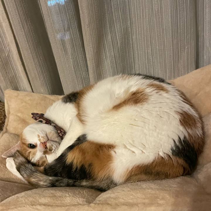 B56eb0f0 bcbd 4bdb 815a f5132a3305f7 1739716215599