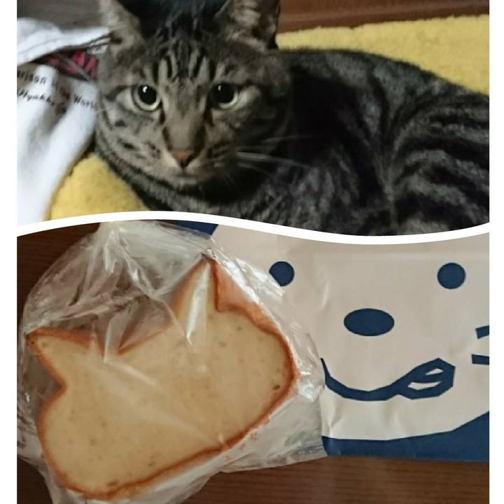 B56ee7f2 1dba 4aaa b55e a5b6b5be43c1 1564747717547