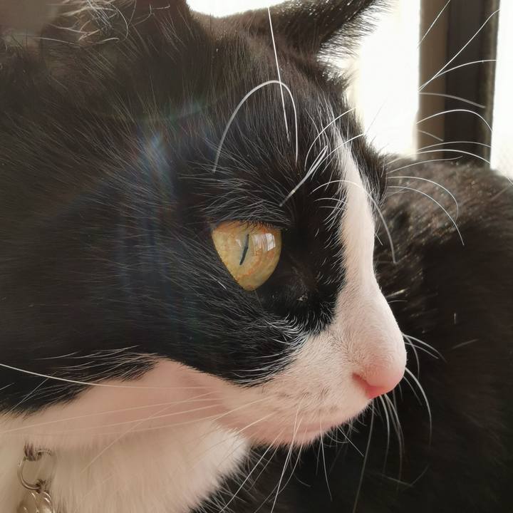 B56ef0b8 9e55 479d abb8 c2945ef1b00a 1638332476418