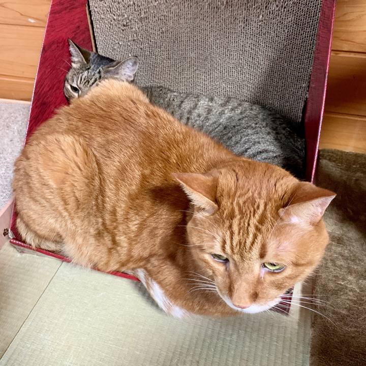 B56efafa 1fd8 43b6 8d5f 309a0514743e 1595924897599