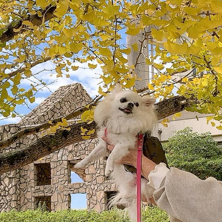 B56f311f 8028 4805 918a 4e20e8f3cb10 1763381609179