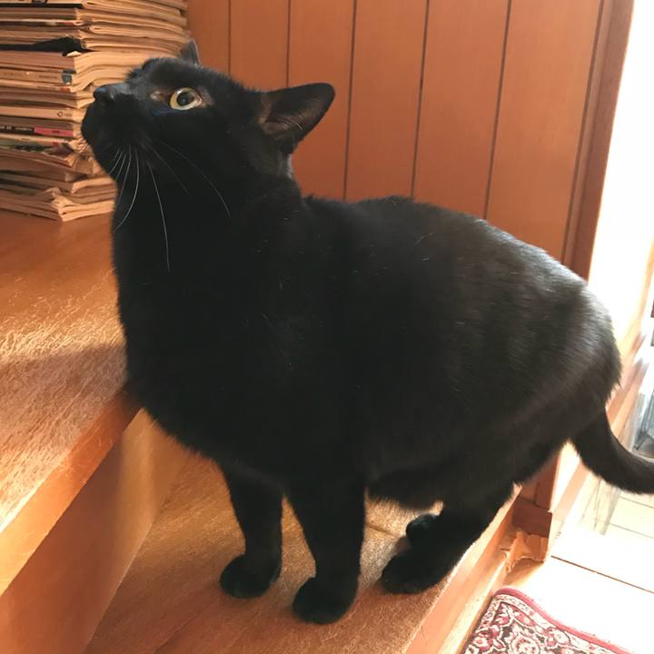 B56f3f0c dd53 4ca2 863a bb9f20c5b43c 1517967522580