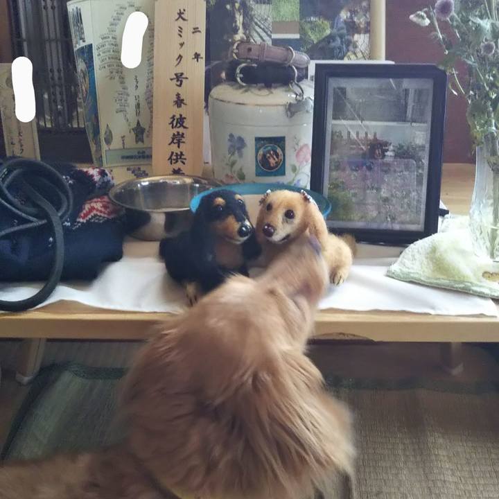 B56fe83c 0d75 4bd4 af26 17c3413bfda8 1590040518121