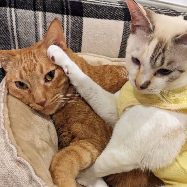 B570857b 166e 4d52 acf6 b46b66a310a6 1701693359304