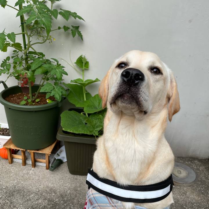 B5708988 3f01 4eac af33 5296ea38ccbb 1622583061200