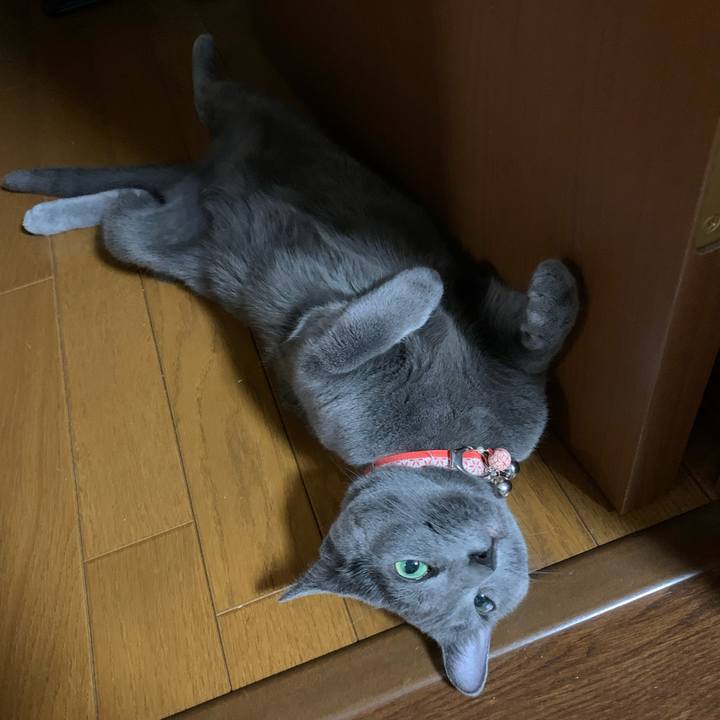 B570b33c 1594 40ad 929e 8ce955228b10 1593176108646