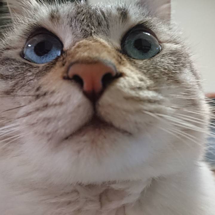 B570c4c9 4c69 4423 8b7c 88b742b5588e 1610281162643