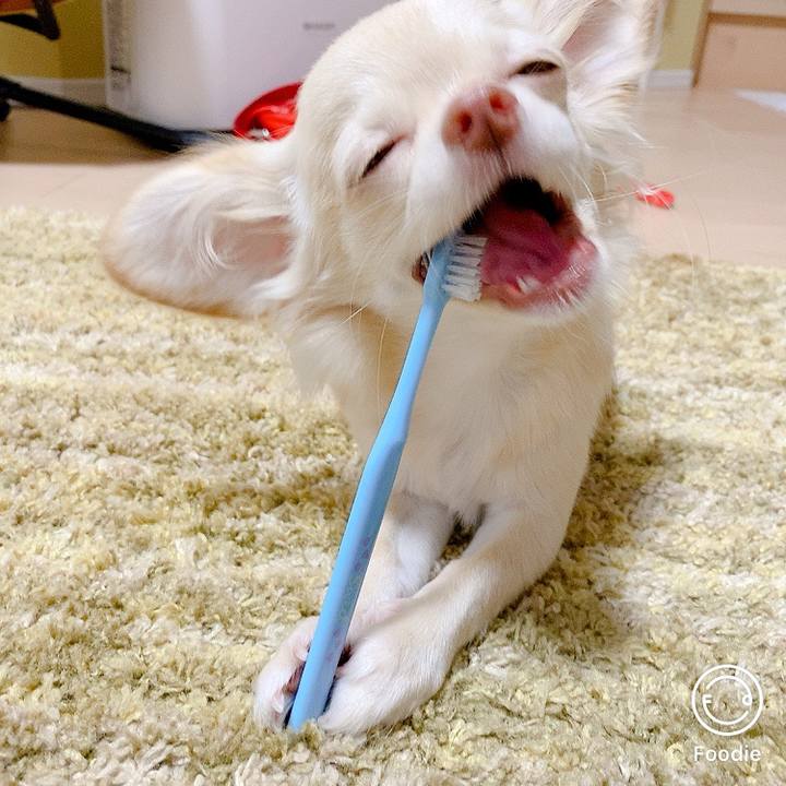 B570f49d daf3 4fc6 94d6 65a808aea425 1601380364985