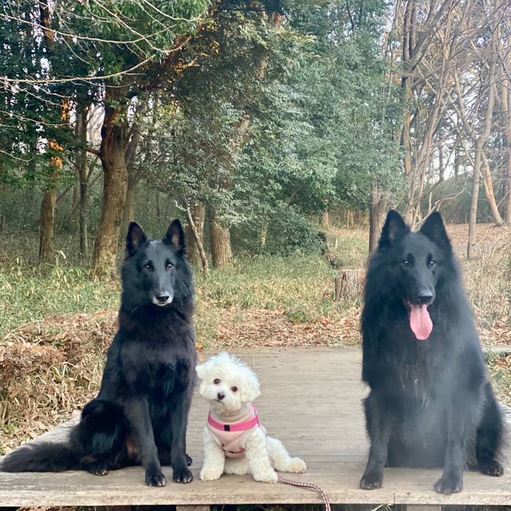 B5713391 d6ed 4d43 9fc9 48d611abd5ab 1768526133385