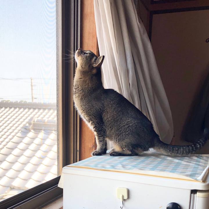 B5715b6c 790c 4b9b 9cb9 783c49b8fdf0 1679621134745