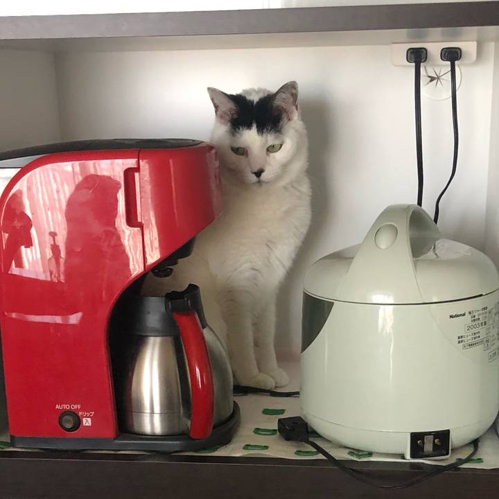 B571997f 5987 4f9e b652 070faeb076cb 1586564775364