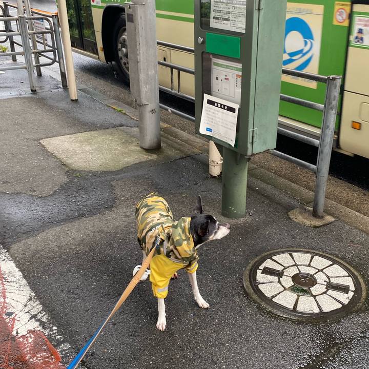 B571a67e 07f2 44b0 9d14 f3aa81dd919a 1594243932422