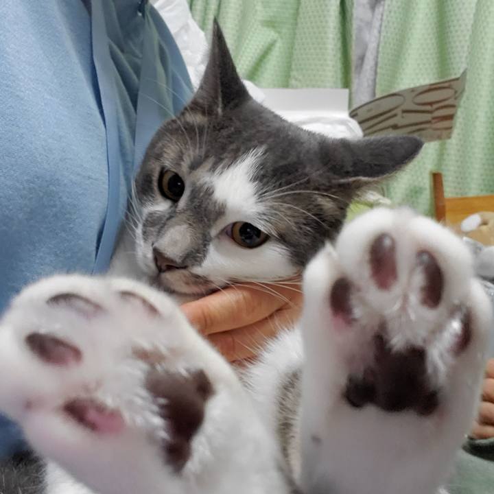 B571be91 f0bd 4668 bb71 e431cb07509a 1695026150986