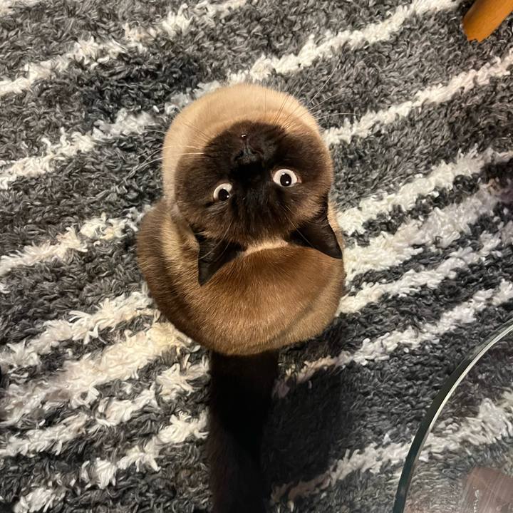 B571df8d 4a41 4b48 bf8f a40539395dc6 1678793412180