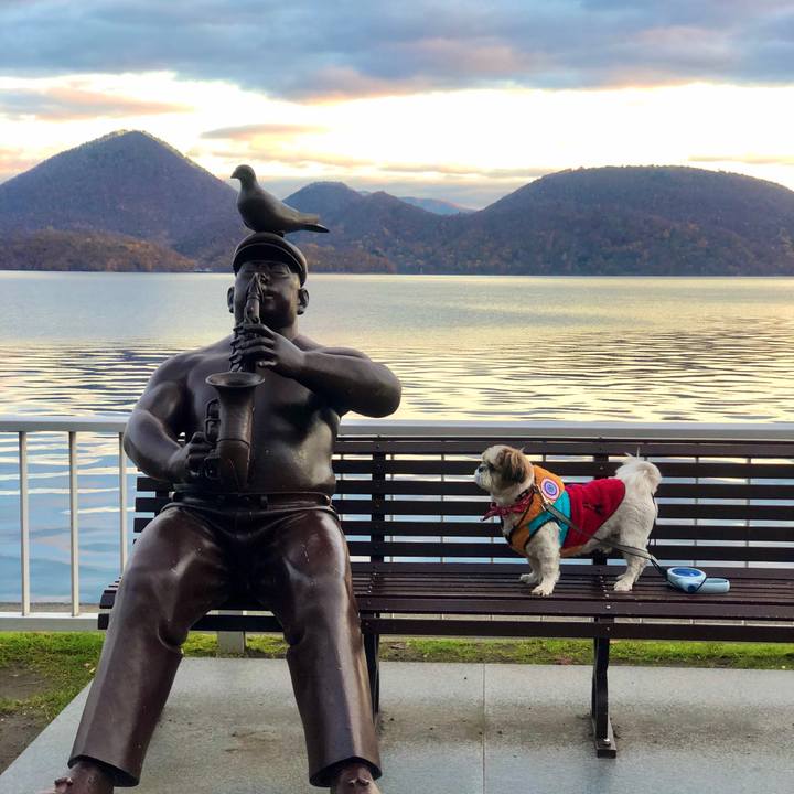 B5720092 a303 4da3 a5f8 d3303d62265c 1572939722809