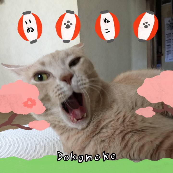 B57206a8 e8cc 46ef ab20 9e46d559bd64 1712229518210