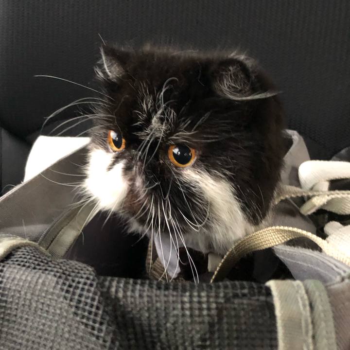 B5722a43 b572 43cf b292 aa79f6f1794c 1719133264838