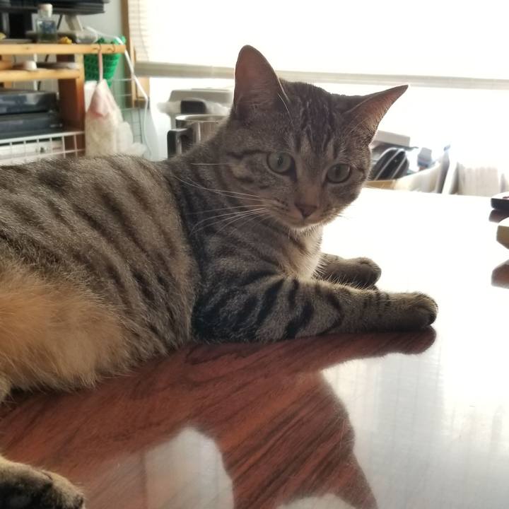 B5722c50 0f5b 4b99 9209 576d3313df91 1692927824165