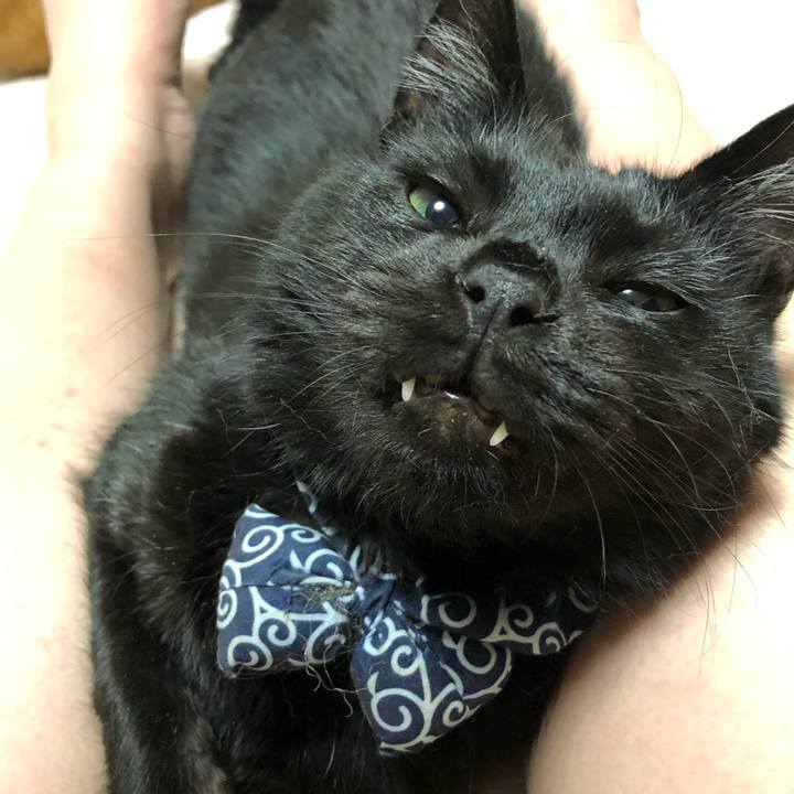 B5723427 7d76 47c9 af51 f2eed8392546 1559130142544